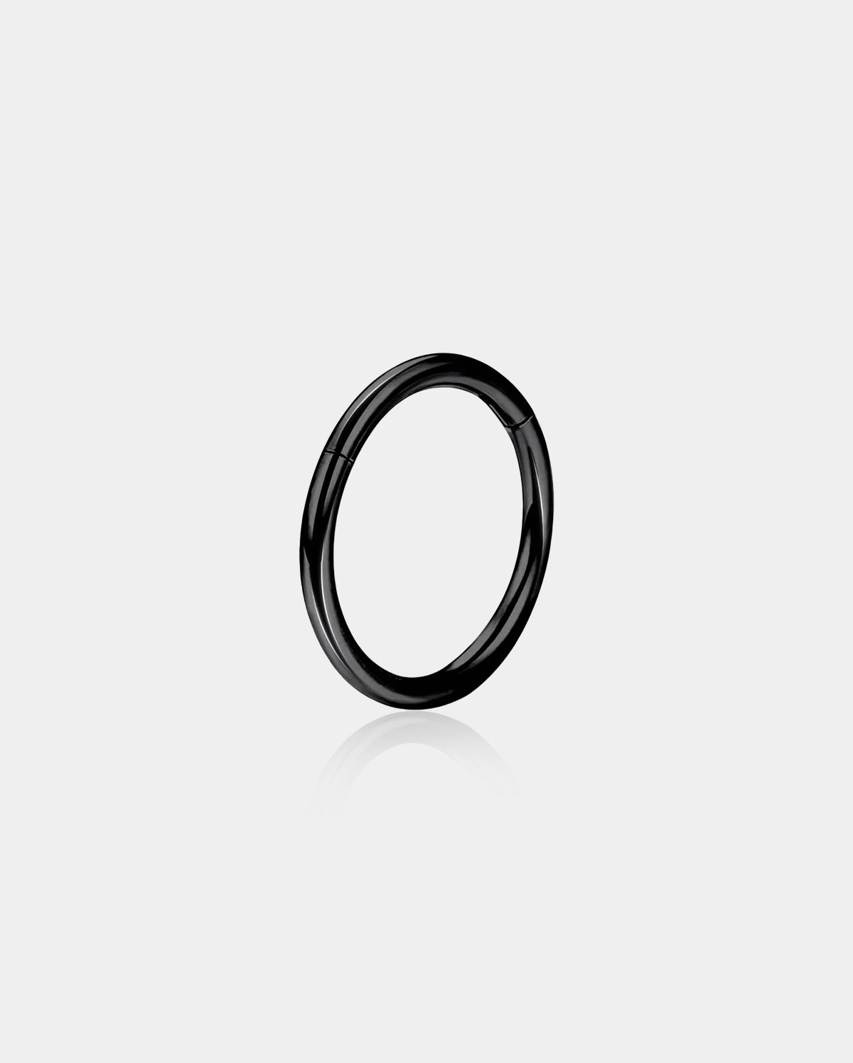 20G Titanium Hinged Segment Nose Ring