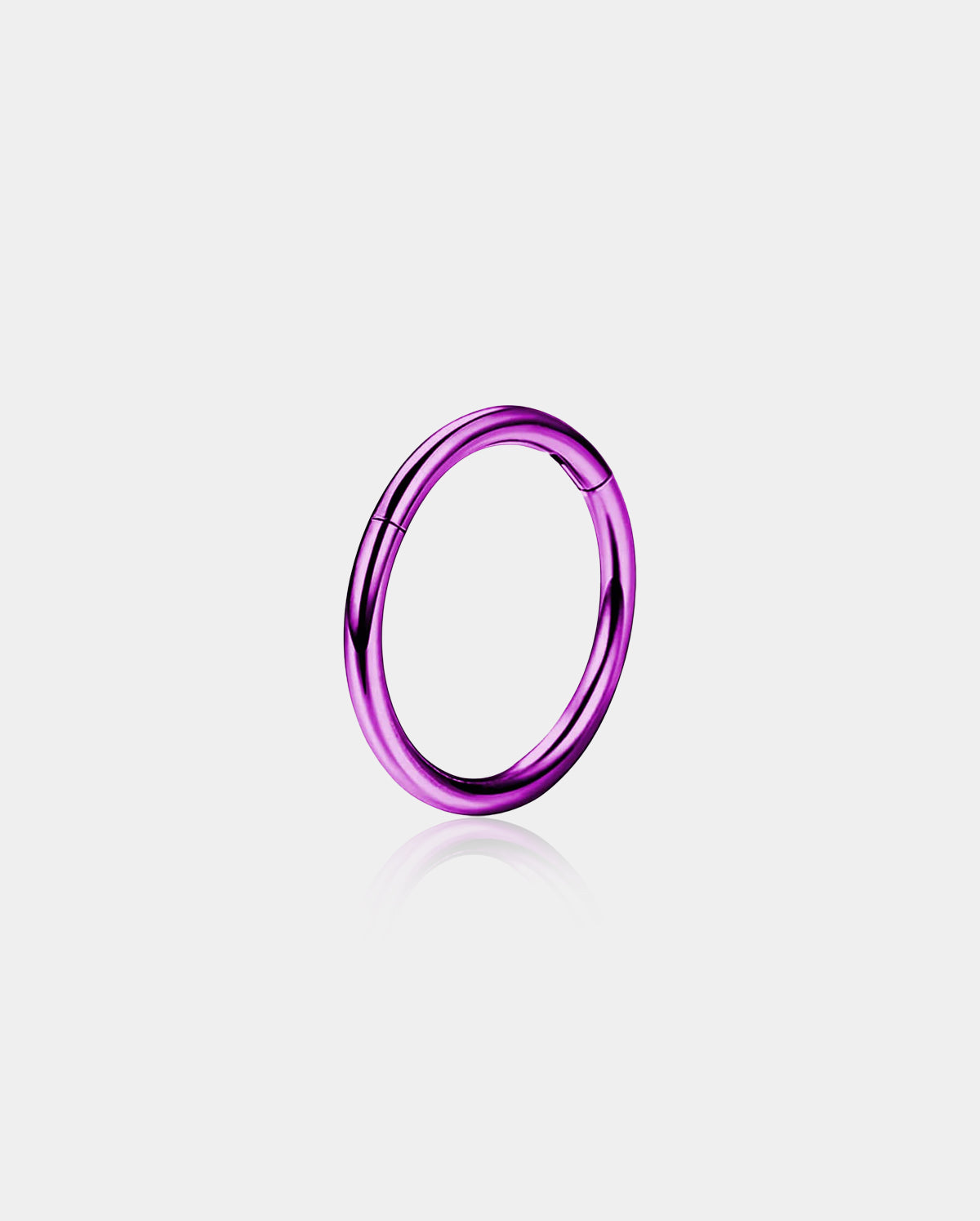 20G Titanium Hinged Segment Nose Ring