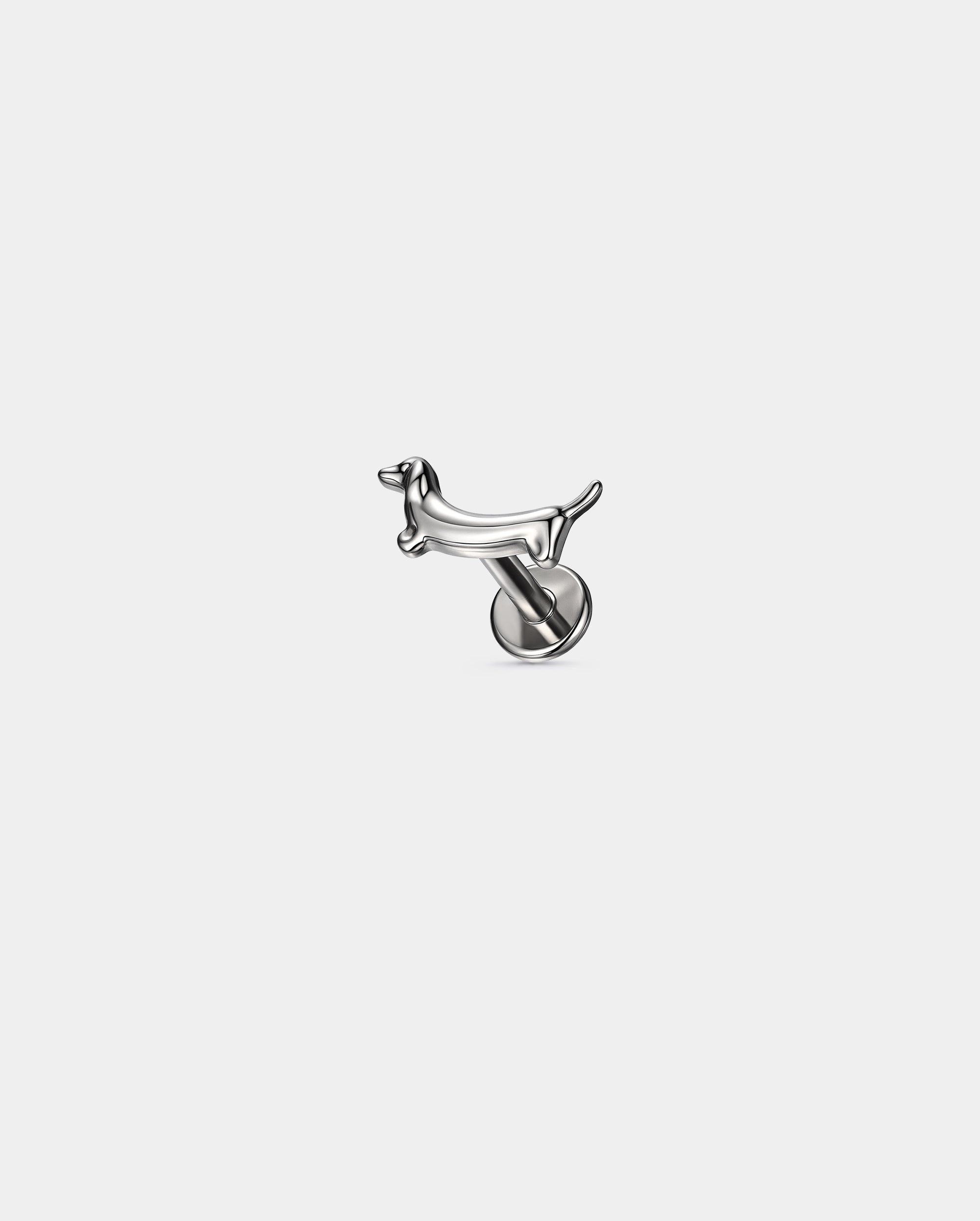 Dachshund cartilage stud