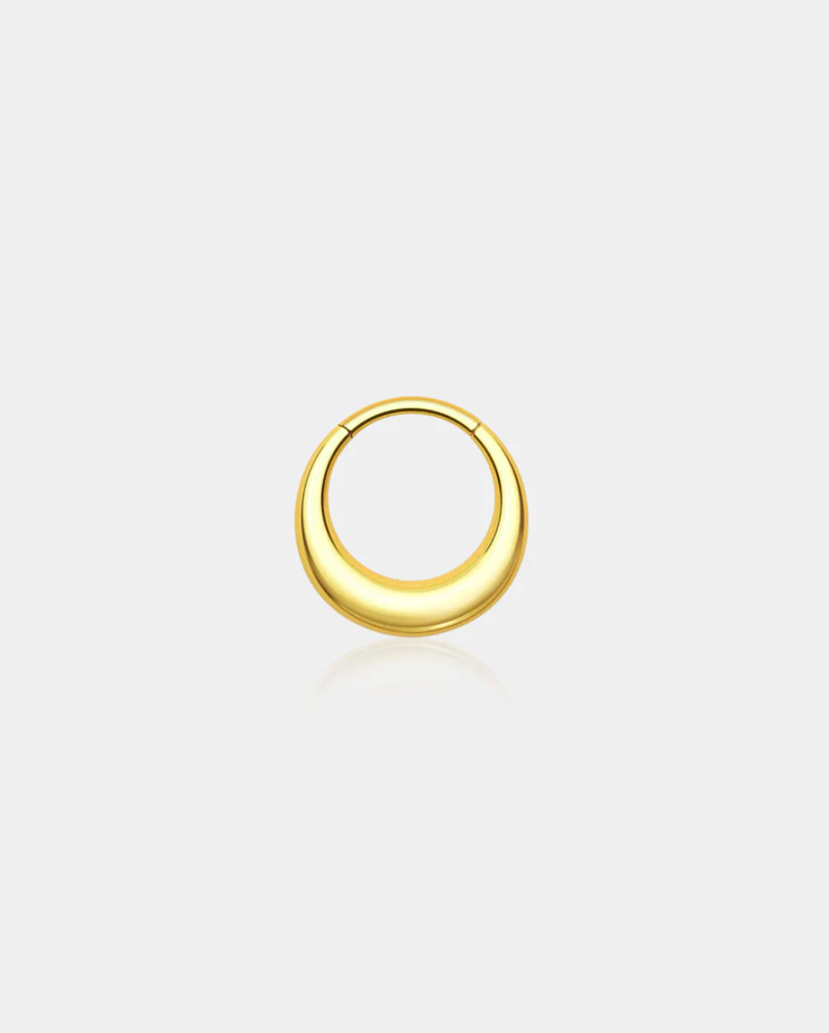 Fake Gauged Hinged Segment Septum Ring