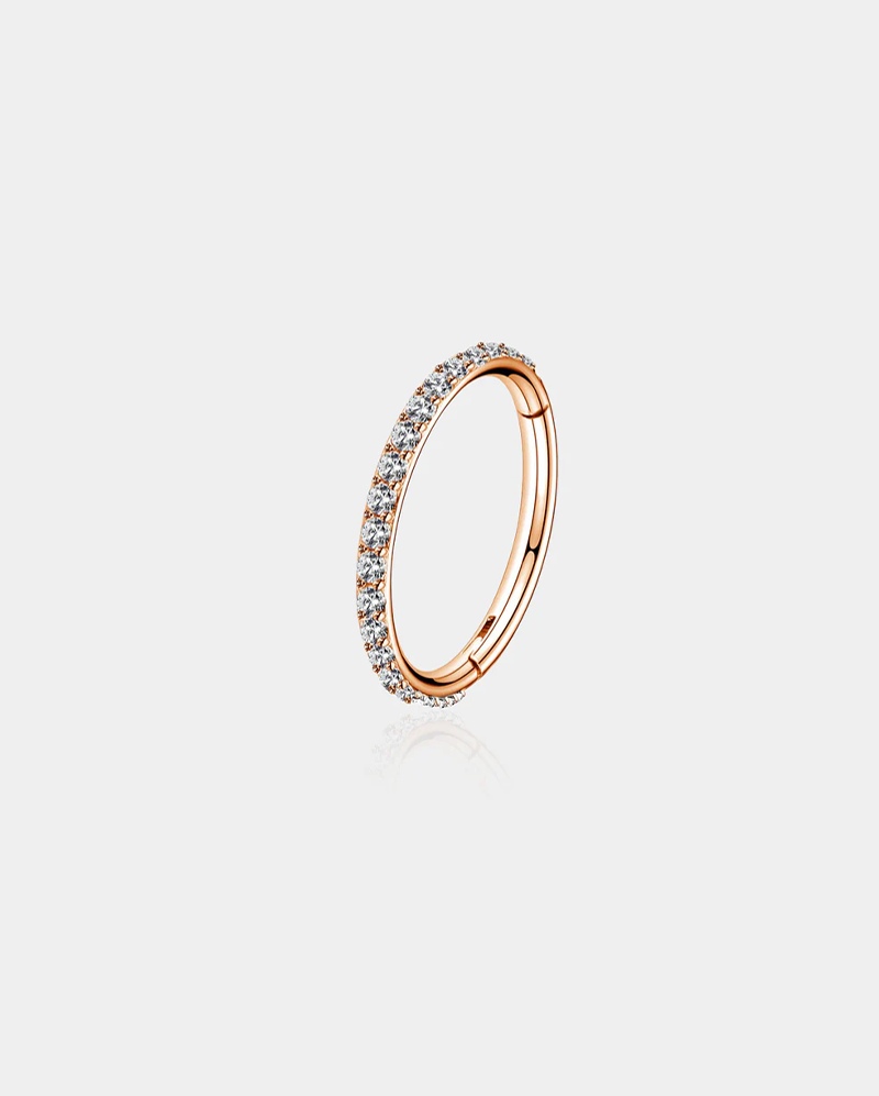 Anillo de nariz 20G con bisagras segmento CZ anillo de aro