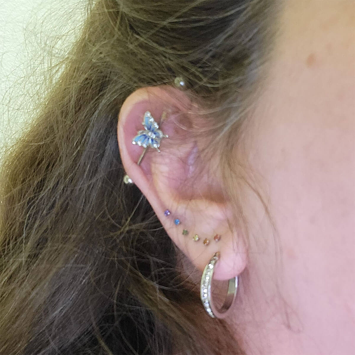 Blue Butterfly Industrial Barbell