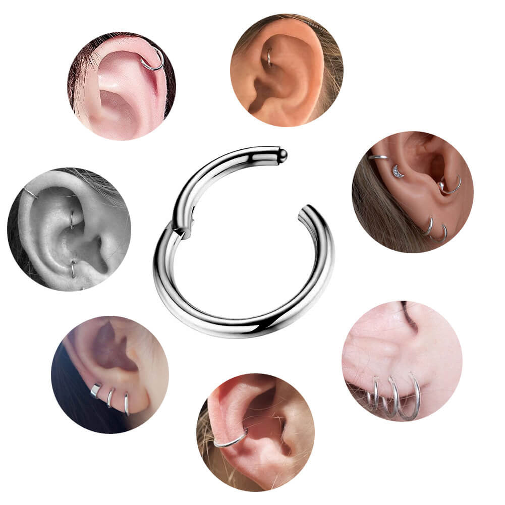 20G Titanium Hinged Segment Nose Ring